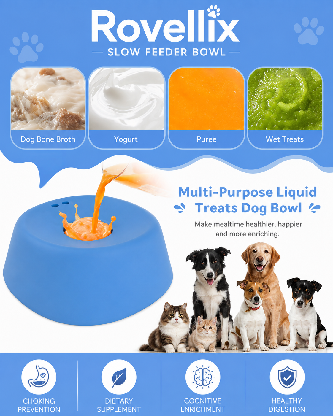 Rovellix Slow Feeder Bowl