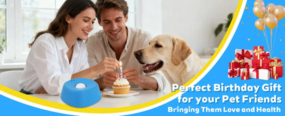Rovellix™ Slow Feeder Bowl – for Dogs and Cats